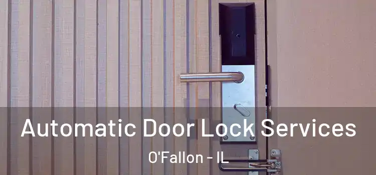  Automatic Door Lock Services O'Fallon - IL