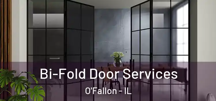 Bi-Fold Door Services O'Fallon - IL