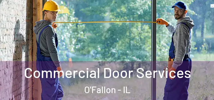  Commercial Door Services O'Fallon - IL