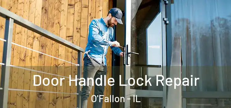  Door Handle Lock Repair O'Fallon - IL
