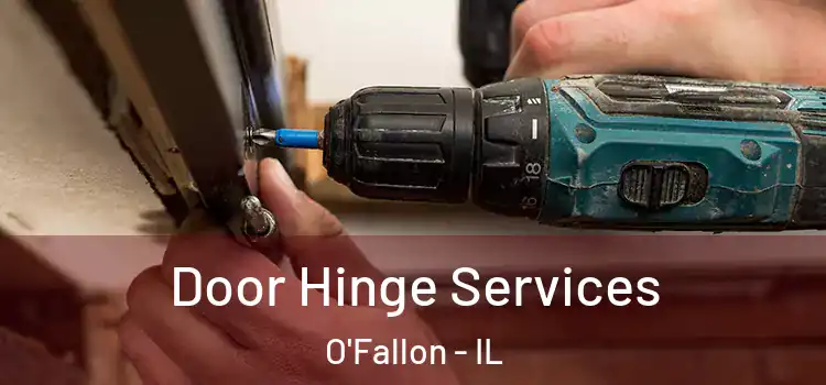  Door Hinge Services O'Fallon - IL