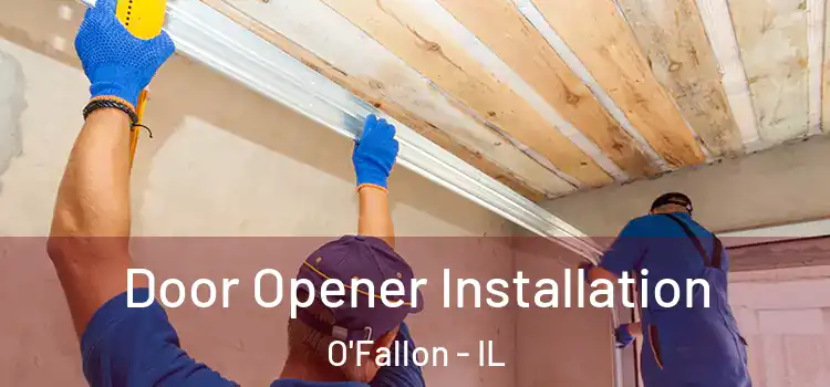  Door Opener Installation O'Fallon - IL