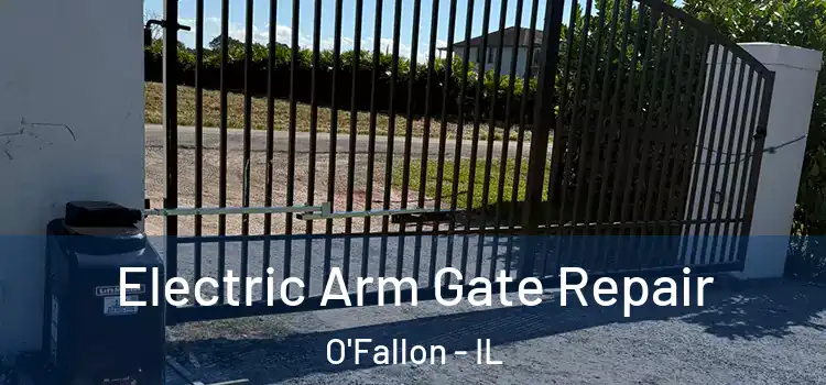  Electric Arm Gate Repair O'Fallon - IL