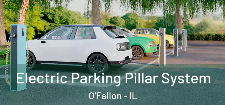Electric Parking Pillar System O'Fallon - IL