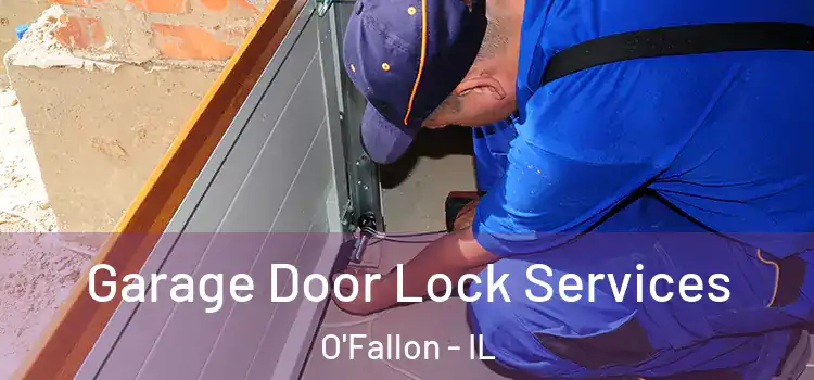 Garage Door Lock Services O'Fallon - IL