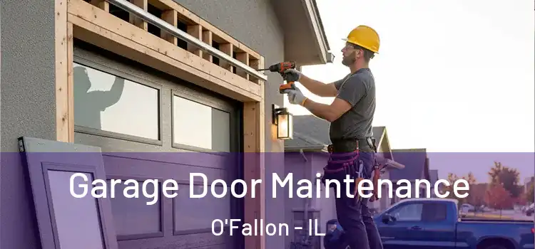 Garage Door Maintenance O'Fallon - IL