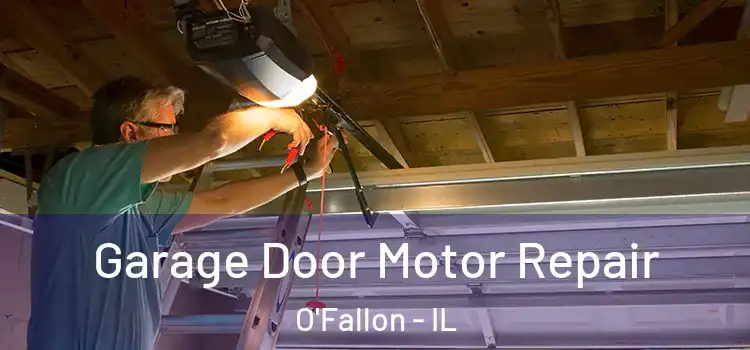  Garage Door Motor Repair O'Fallon - IL