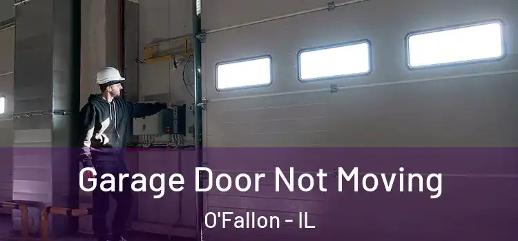  Garage Door Not Moving O'Fallon - IL