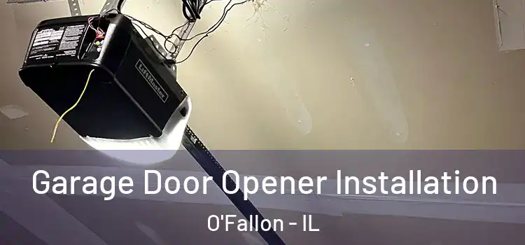  Garage Door Opener Installation O'Fallon - IL