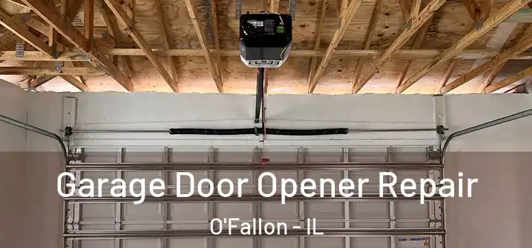  Garage Door Opener Repair O'Fallon - IL