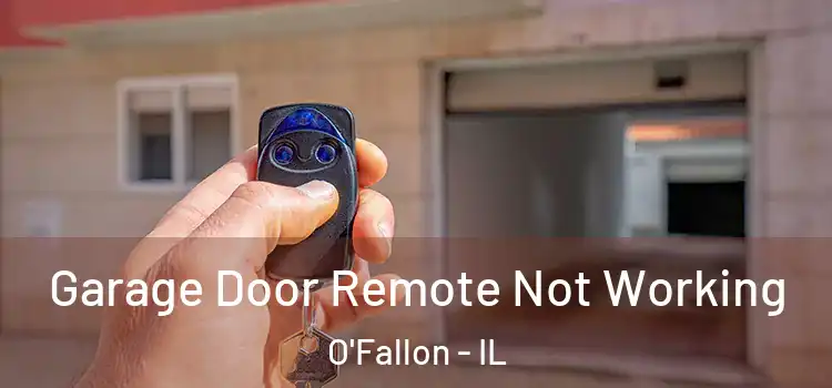  Garage Door Remote Not Working O'Fallon - IL