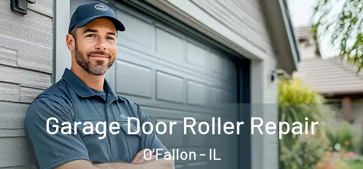  Garage Door Roller Repair O'Fallon - IL