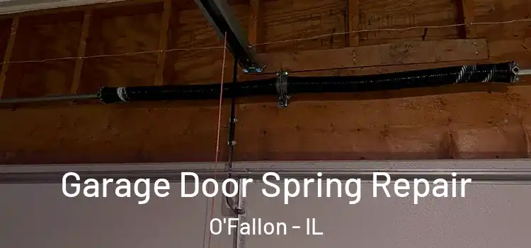  Garage Door Spring Repair O'Fallon - IL