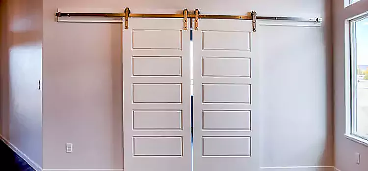 Glass Barn Door with Installation Hardware Kit O'Fallon