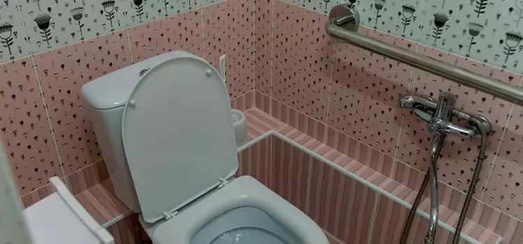 Meeting Diverse Needs With Accessible Restroom Solutions in O'Fallon, IL