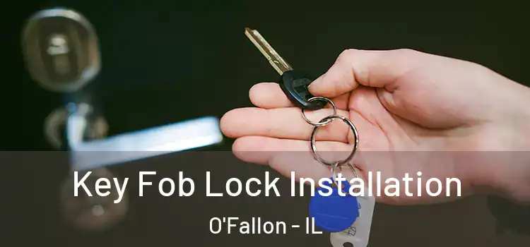Key Fob Lock Installation O'Fallon - IL