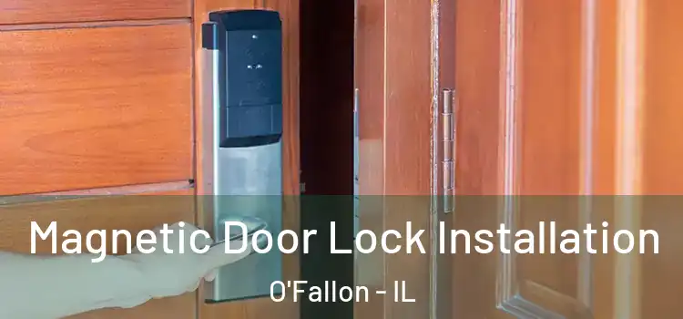  Magnetic Door Lock Installation O'Fallon - IL