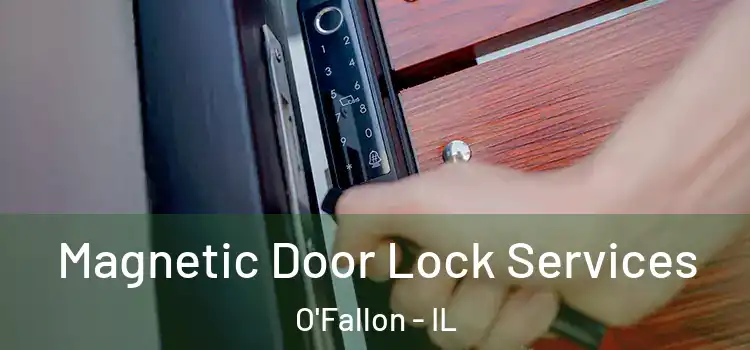 Magnetic Door Lock Services O'Fallon - IL