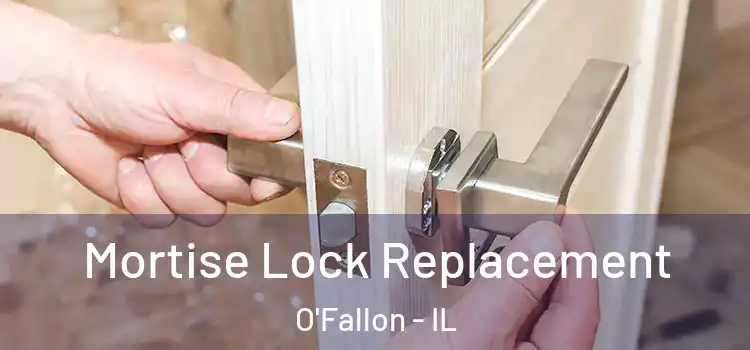 Mortise Lock Replacement O'Fallon - IL