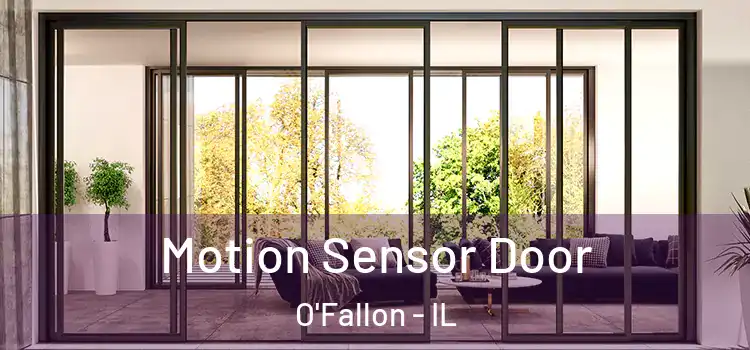  Motion Sensor Door O'Fallon - IL