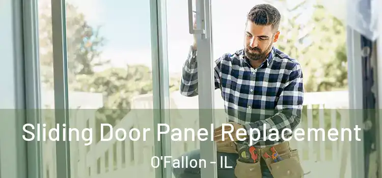  Sliding Door Panel Replacement O'Fallon - IL