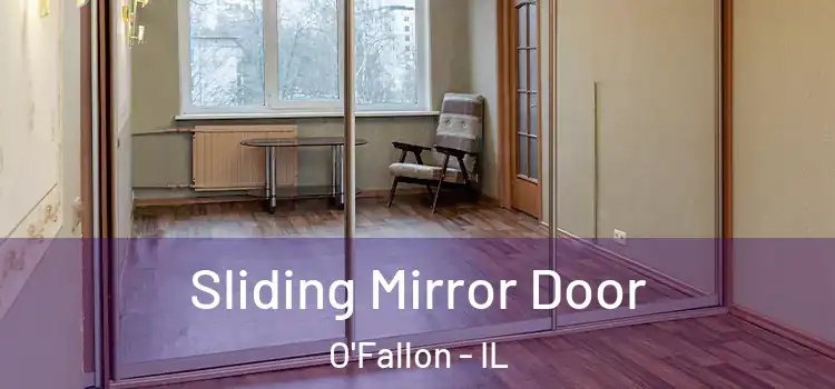  Sliding Mirror Door O'Fallon - IL